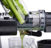Slow Juicer